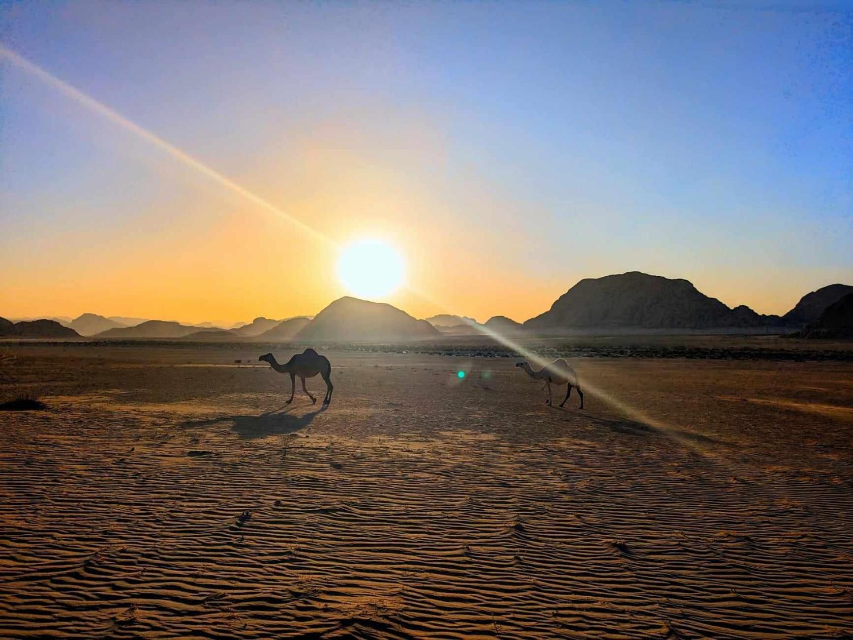 Shahrazad Desert, Ваді-Рам Екстер'єр фото